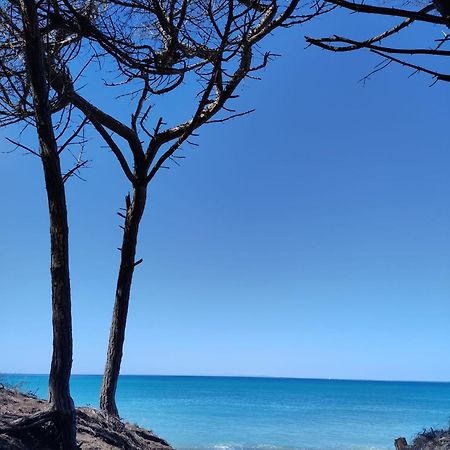 利帕贝拉Mare Toscano公寓 外观 照片